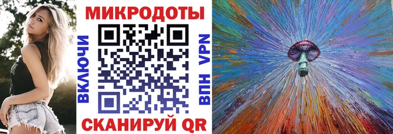 shop Telegram  Иланский  Галлюциногенные грибы Psilocybe 
